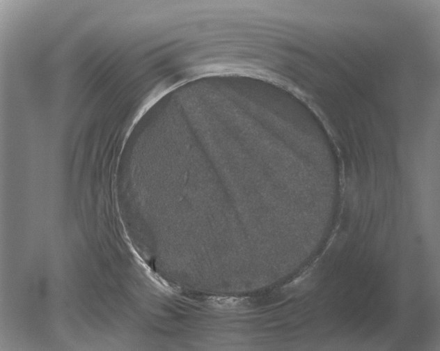 X0000080681529200701051021