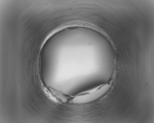 X0000080681530200701051021