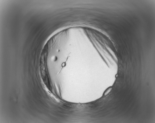 X0000080681534200701051021