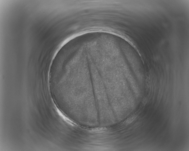 X0000080681535200701051021