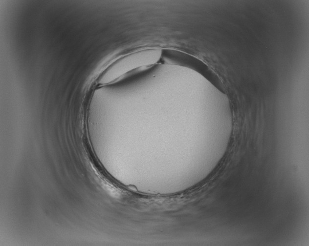 X0000080680005200701121711