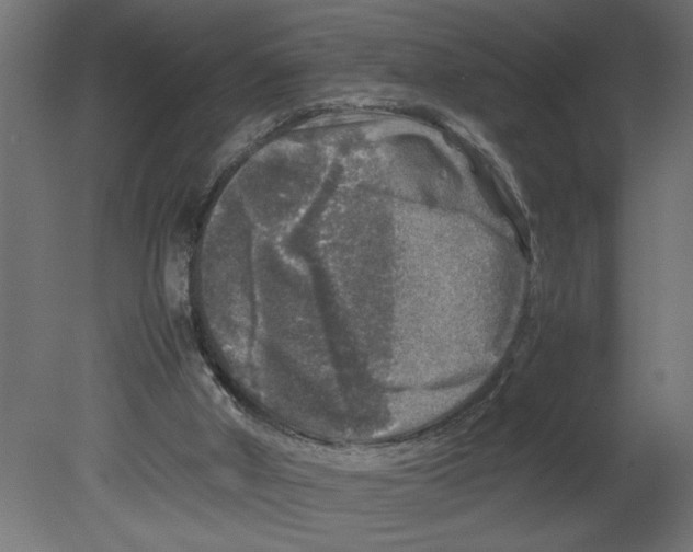 X0000080680010200701121711