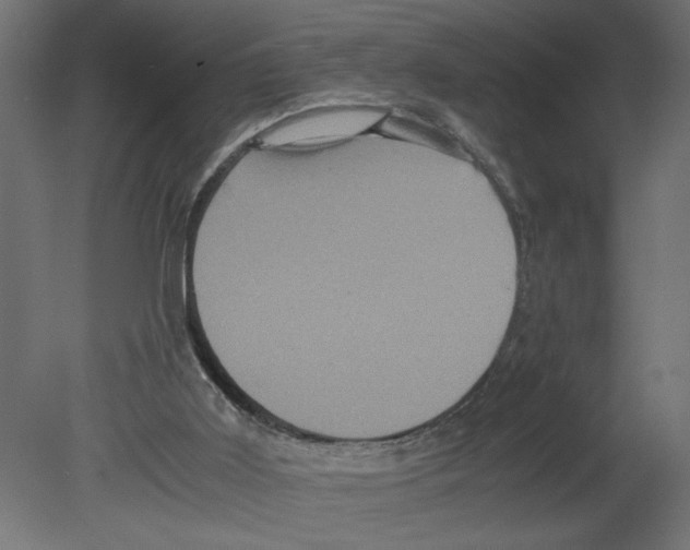 X0000080680011200701121711