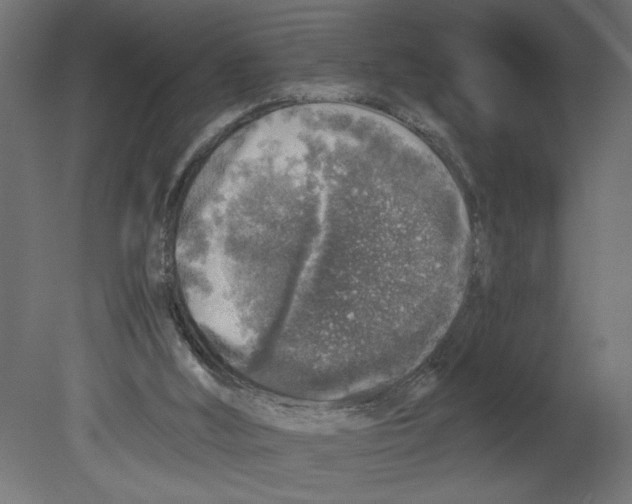 X0000080680012200701121711