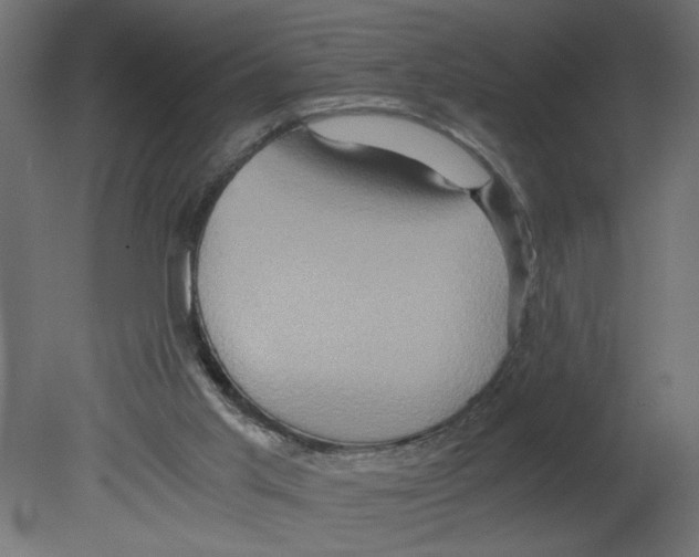 X0000080680013200701121711