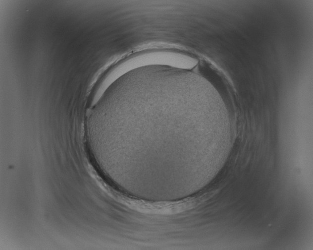 X0000080680015200701121711