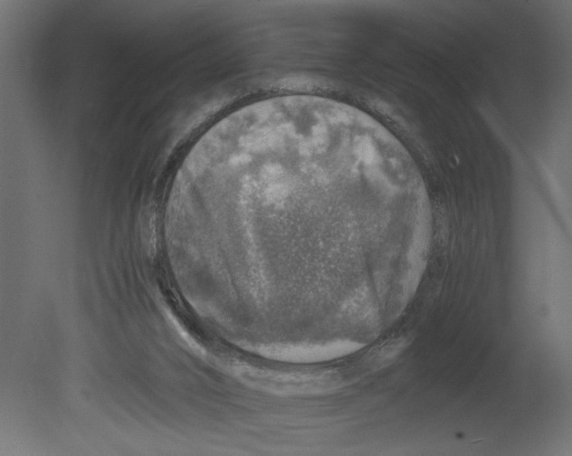 X0000080680016200701121711