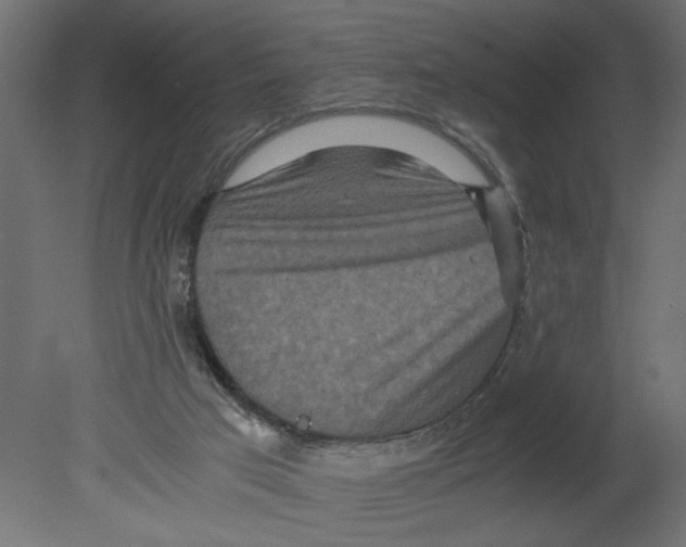 X0000080680017200701121711