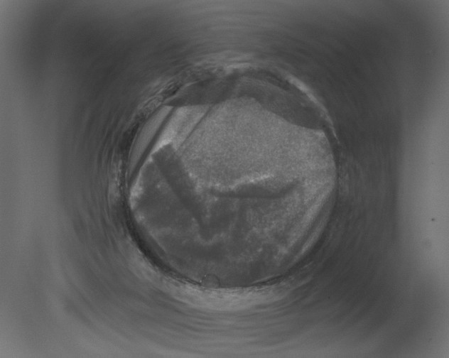 X0000080680018200701121711