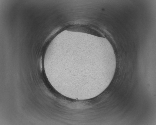 X0000080680020200701121711