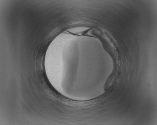 X0000080680023200701121710