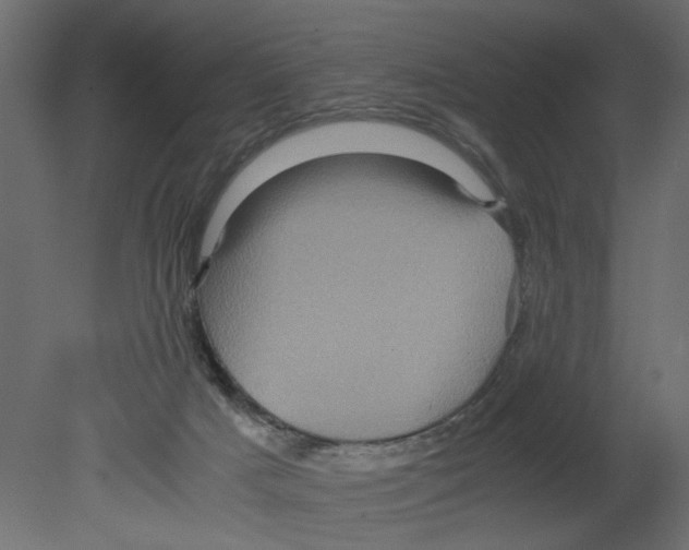 X0000080680025200701121710