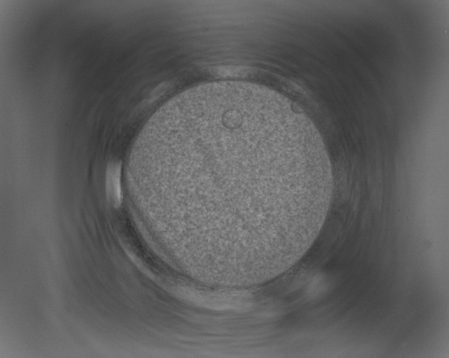 X0000080680028200701121710