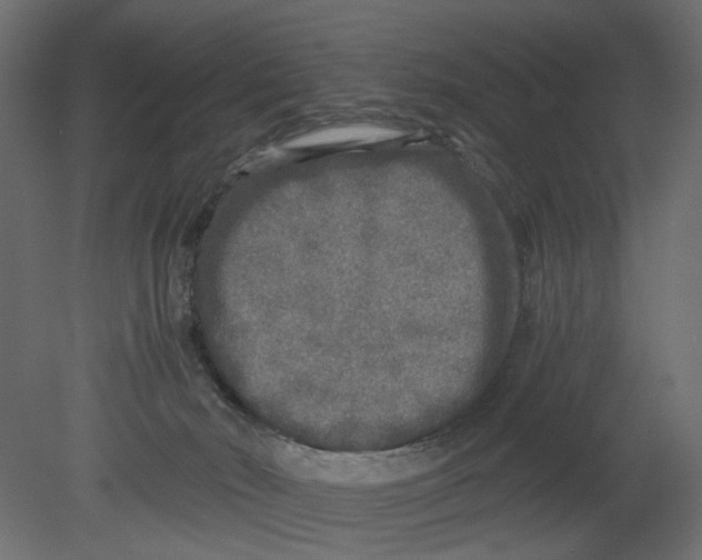 X0000080680030200701121710