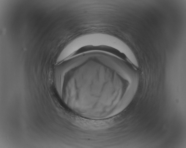 X0000080680031200701121710