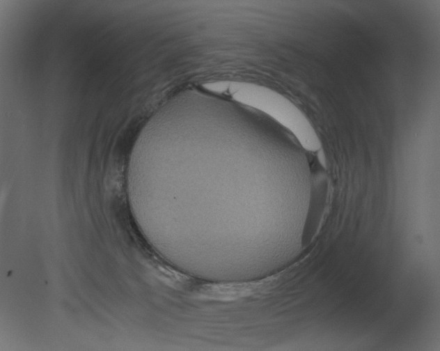 X0000080680033200701121710