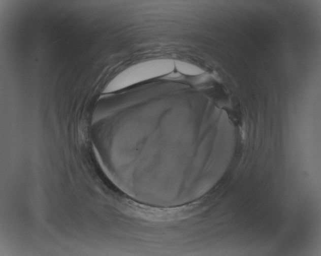 X0000080680035200701121710