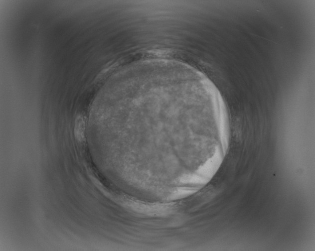 X0000080680036200701121710