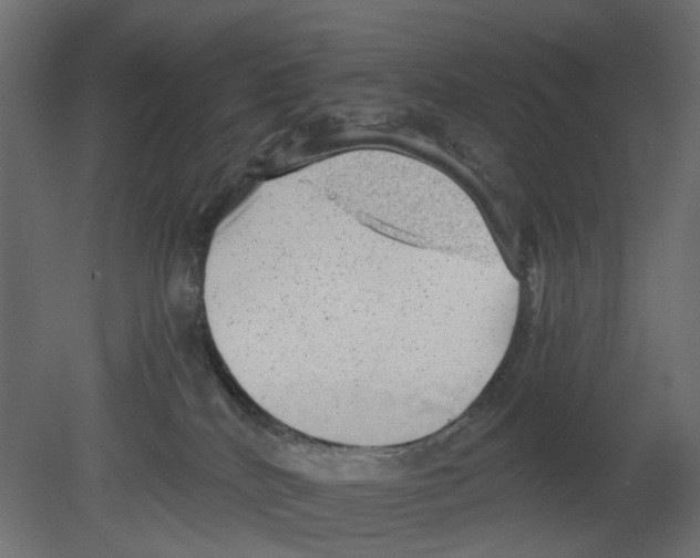 X0000080680040200701121710