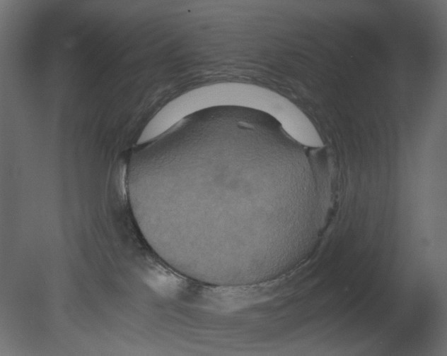 X0000080680041200701121710