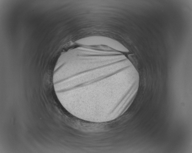 X0000080680044200701121710