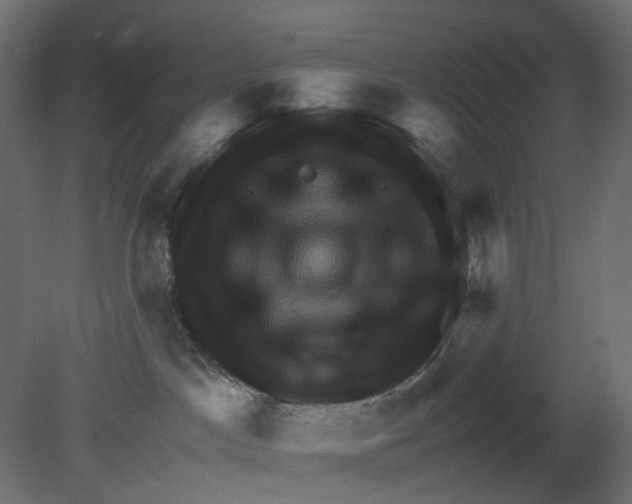 X0000080680045200701121710