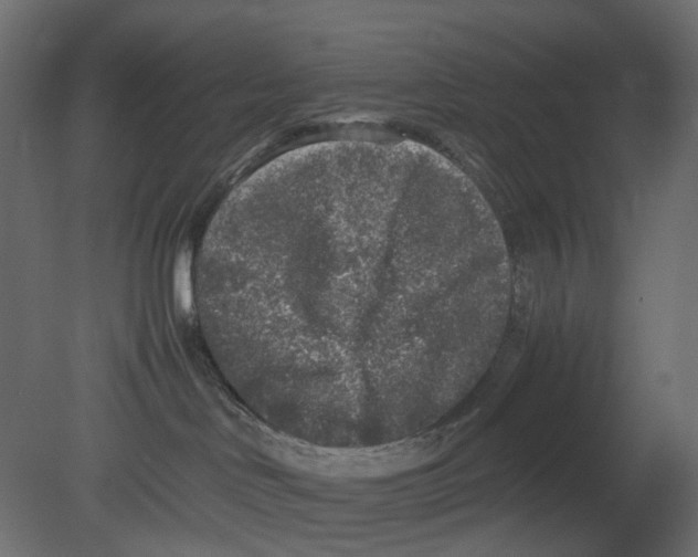 X0000080680046200701121710