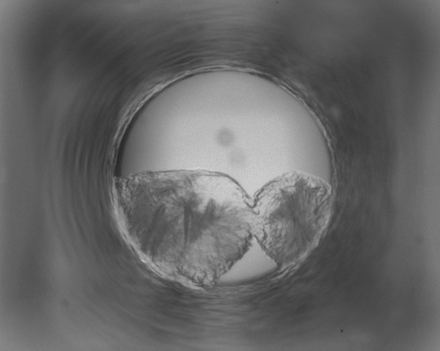 X0000080680049200701121709