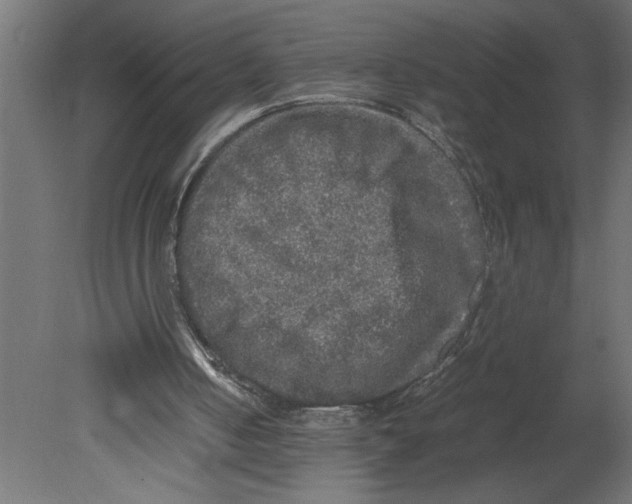 X0000080680050200701121709