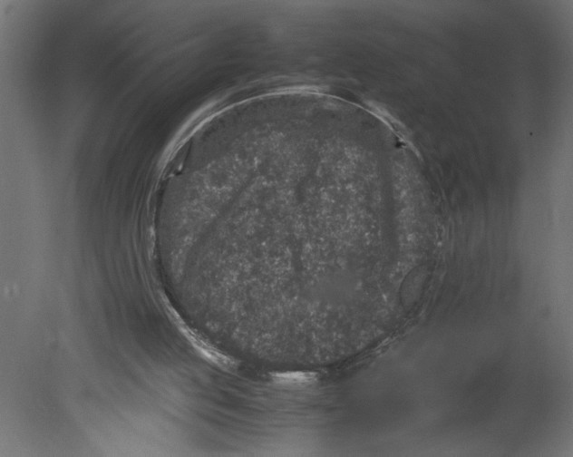 X0000080680053200701121709