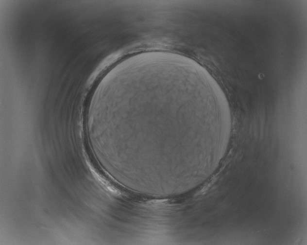 X0000080680054200701121709