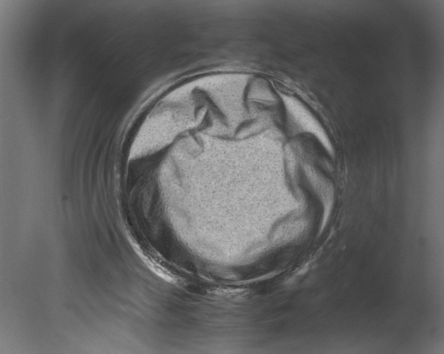 X0000080680055200701121709