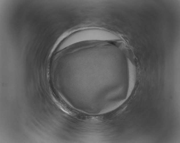 X0000080680056200701121709