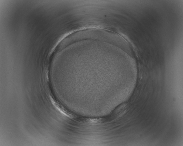 X0000080680060200701121709