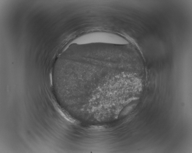 X0000080680061200701121709