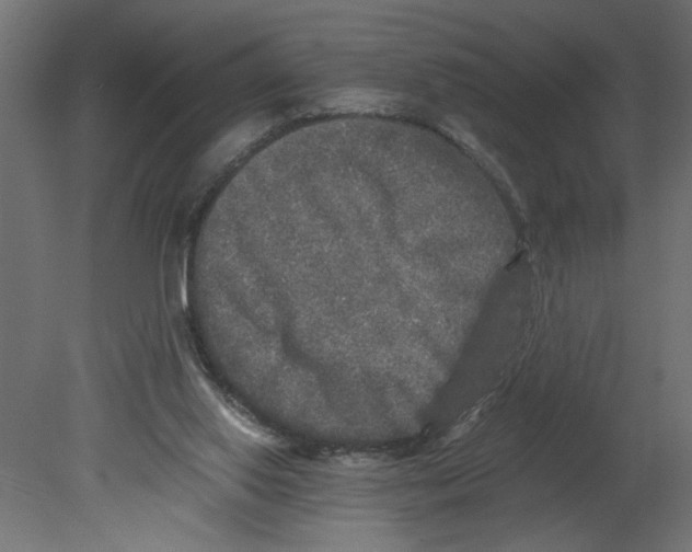 X0000080680062200701121709