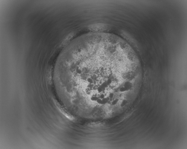 X0000080680065200701121710