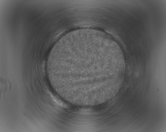 X0000080680066200701121710