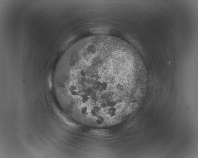 X0000080680069200701121710