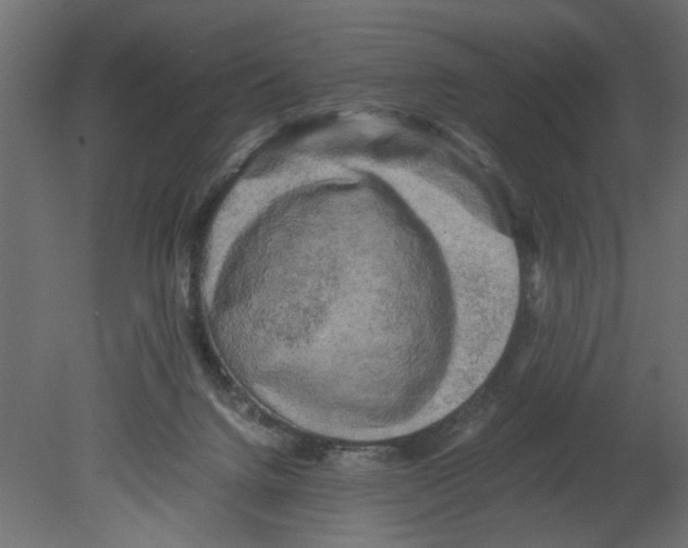 X0000080680072200701121710