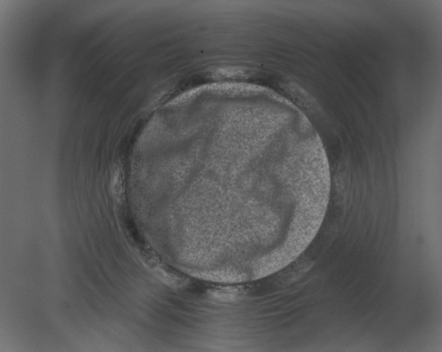 X0000080680079200701121710