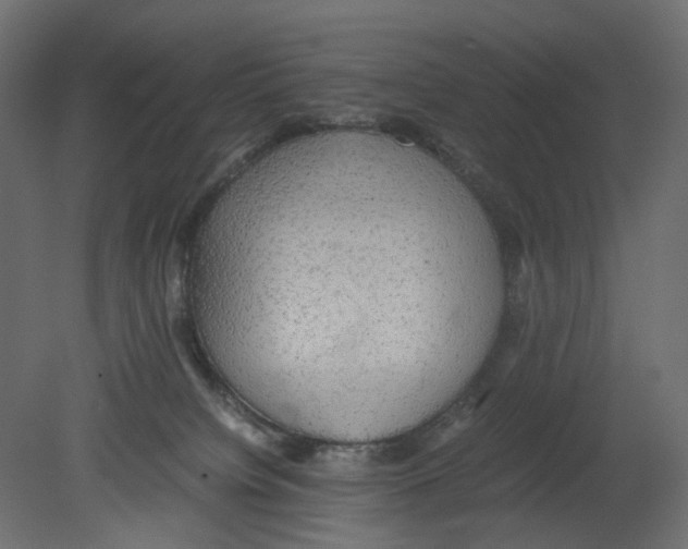 X0000080680084200701121710