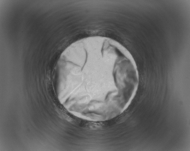 X0000080680085200701121710