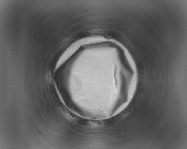 X0000080680089200701121710