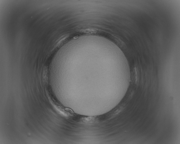 X0000080680092200701121710