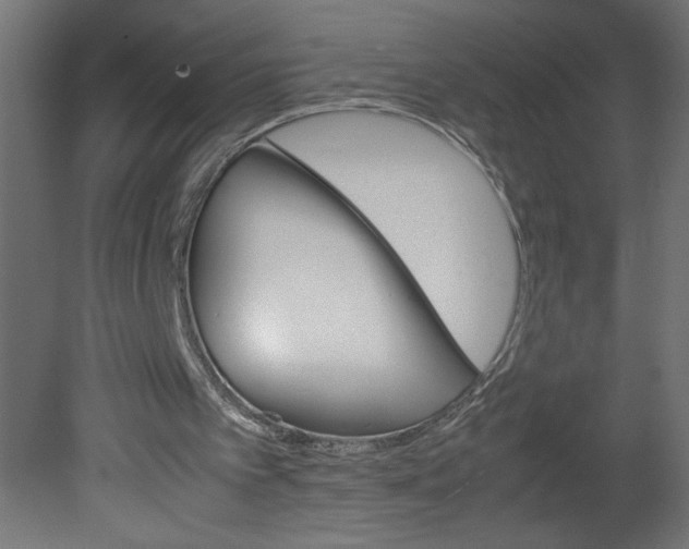 X0000080680097200701121709