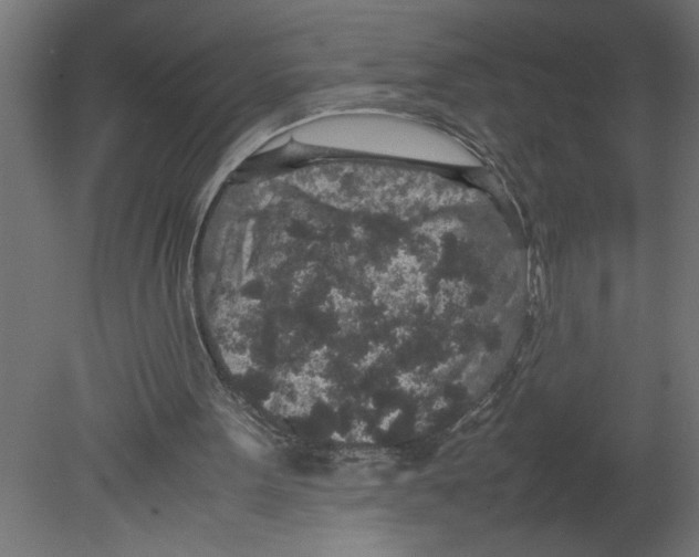 X0000080680099200701121709