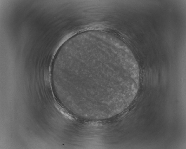 X0000080680100200701121709