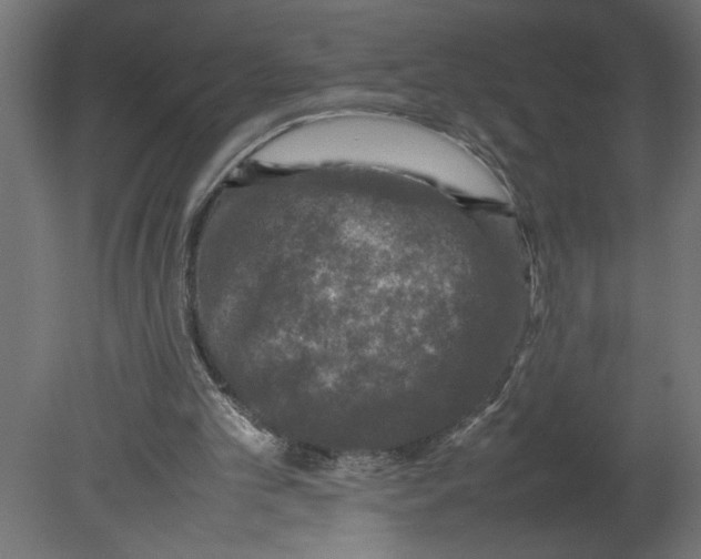 X0000080680101200701121709