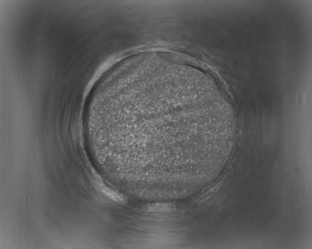 X0000080680102200701121709